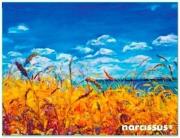 Teczka kopertowa PP A6 Niebo. Wydawca: Narcissus. Dadada.pl Opakowanie Teczka kopertowa PP A6 Niebo