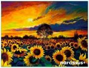 Teczka kopertowa PP A6 Słoneczniki. Wydawca: Narcissus. Dadada.pl Opakowanie Teczka kopertowa PP A6 Słoneczniki