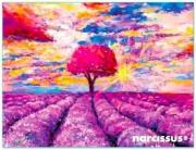 Teczka kopertowa PP A7 Lawenda. Wydawca: Narcissus. Dadada.pl Opakowanie Teczka kopertowa PP A7 Lawenda