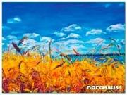 Teczka kopertowa PP A7 Niebo. Wydawca: Narcissus. Dadada.pl Opakowanie Teczka kopertowa PP A7 Niebo