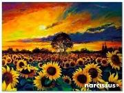 Teczka kopertowa PP A7 Słoneczniki. Wydawca: Narcissus. Dadada.pl Opakowanie Teczka kopertowa PP A7 Słoneczniki