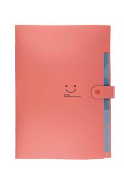 Opakowanie Teczka plastikowa A4 z 5 przegródkami czerwona