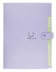 Opakowanie Teczka plastikowa A4 z 5 przegródkami fioletowa