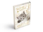 Opakowanie Teczka skrzydłowa z gumką A4 Kot