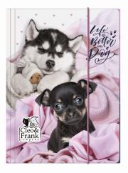 Opakowanie Teczka z gumką A4 Cleo i Frank 38 Pies DERFORM