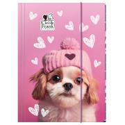 Opakowanie Teczka z gumką A4 Cleo i Frank 42 (Pies) DERFORM