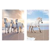 Opakowanie Teczka z gumką A4 Horses 10 sztuk