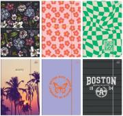 Opakowanie Teczka z gumką A4+ mix (10szt)