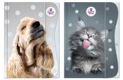 Opakowanie Teczka z gumką A4 The Sweet Pets