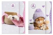 Opakowanie Teczka z gumką A4 The Sweet Pets - Kids mix