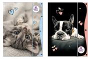 Opakowanie Teczka z gumką A4 The Sweet Pets