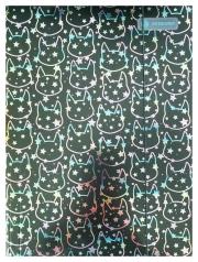 Opakowanie Teczka z gumką Holographic A4 Holo shine 10 sztuk