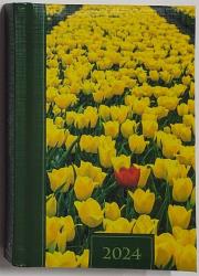 Opakowanie Terminarz 2024 dzienny B6 Prisma LUX MIX