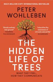 The Hidden Life of Trees. Autor: Wohlleben Peter. Dadada.pl Okładka książki The Hidden Life of Trees