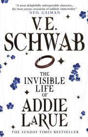The Invisible Life of Addie LaRue. Autor: V.E. Schwab. Dadada.pl Okładka książki The Invisible Life of Addie LaRue