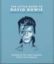 Opakowanie The Little Guide to David Bowie