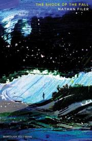 Okładka książki The Shock of the Fall