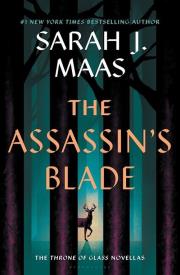 Okładka książki TOG:Assassin’s Blade TOG Adult