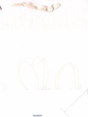 Torba TO-3 okolicznościowa MIX AVANTI. Wydawca: AVANTI. Dadada.pl Opakowanie Torba TO-3 okolicznościowa MIX AVANTI