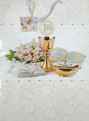 Okładka książki TOREBKA MAXI 003-PAN DRAGON