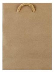 Opakowanie Torebka papierowa eko max