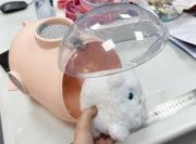 Opakowanie Transporter z małym kotkiem