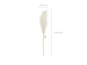 Opakowanie Trawa pampasowa sztuczna jasno kremowa 15x110cm