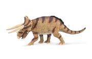 Opakowanie Triceratops horridus - confronting