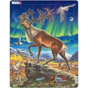 Opakowanie Układanka Renifery rozmiar M 60 elementów