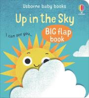 Up in the Sky. Autor: Cartwright Mary. Dadada.pl Okładka książki Up in the Sky