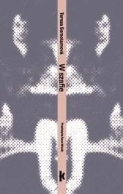 Okładka książki W szafie