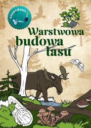 Warstwowa budowa lasu. Kolorowanka. Autor: Katarzyna Kopiec-Sekieta. Dadada.pl Okładka książki Warstwowa budowa lasu. Kolorowanka