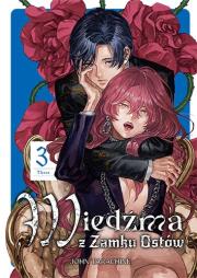 Okładka książki Wiedźma z Zamku Ostów. Tom 3