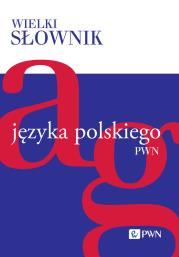 Okładka książki Wielki słownik języka polskiego. A-G