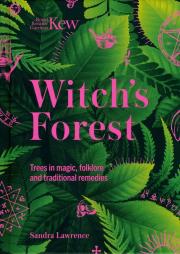 Witch's Forest. Autor: Lawrence Sandra. Dadada.pl Okładka książki Witch's Forest