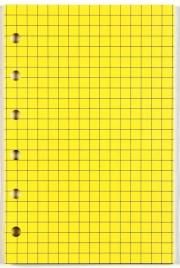 Opakowanie Wkład do organizera A5/kratka żółta ANTRA