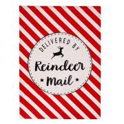 Opakowanie Worek na prezenty Pasy