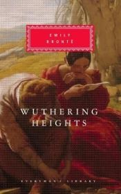 Wuthering Heights. Autor: Bronte Emily. Dadada.pl Okładka książki Wuthering Heights