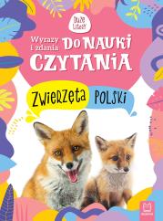 Wyrazy i zdania do nauki czytania. Duże litery. Autor: Kaczyńska Agata. Dadada.pl Okładka książki Wyrazy i zdania do nauki czytania. Duże litery