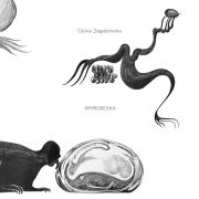 Okładka książki Wyrobiska