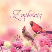 Okładka książki Z miłością