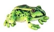 Opakowanie Żaba 28cm