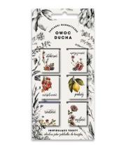 Opakowanie Zakładki magnetyczne - Owoc Ducha 6szt