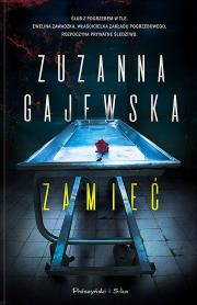 Zamieć. Autor: Zuzanna Gajewska. Dadada.pl Okładka książki Zamieć