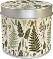 Opakowanie Zapachowa świeczka 194 - paprotki - zapach cytryna