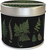 Opakowanie Zapachowa świeczka 98 - paproć - zapach lasu