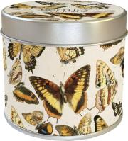 Opakowanie Zapachowa świeczka motyle - zapach cytrynowy