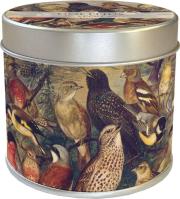 Opakowanie Zapachowa świeczka ptaki - zapach leśny