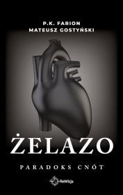 Okładka książki Żelazo. Paradoks cnót. Tom 2