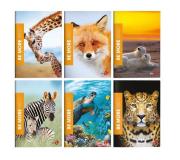 Opakowanie Zeszyt A4/36K kratka Be More Wild (10szt)